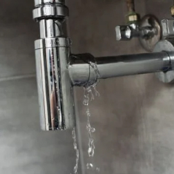 Plumbing Leaks